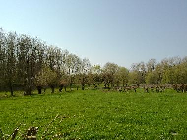 panorama in front of the farmhouse