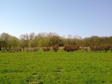 panorama in front of the farmhouse