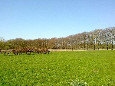 panorama in front of the farmhouse