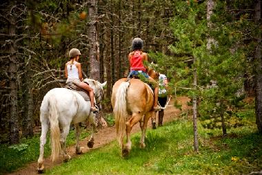 Holiday Apartment in La Massana (La Massana) or holiday homes and vacation rentals