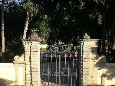 the view from the window