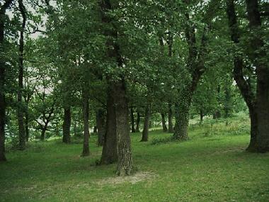 Holiday House in Belleserre (Tarn) or holiday homes and vacation rentals