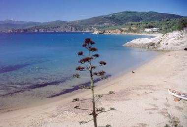 Holiday Apartment in Isola d