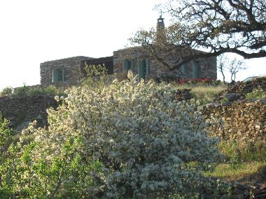 Holiday House in Kea (Kyklades) or holiday homes and vacation rentals