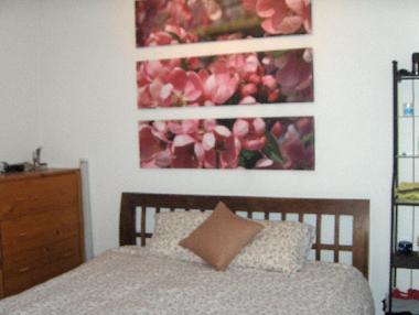 Holiday Apartment in Corralejo (Fuerteventura) or holiday homes and vacation rentals