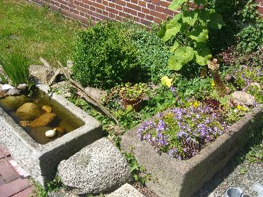 Boat in Leerhafe (Nordsee-Festland / Ostfriesland) or holiday homes and vacation rentals