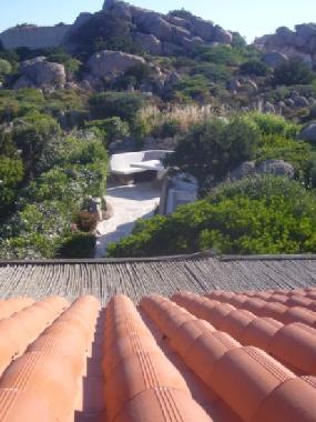 View of the Back Garden