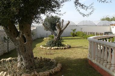 Holiday House in Santa Croce (Ragusa) or holiday homes and vacation rentals