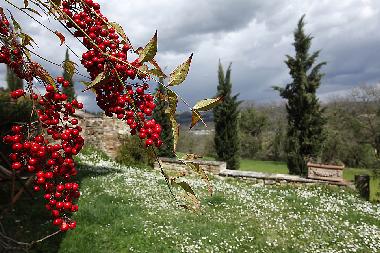 Holiday House in San Pancrazio (Firenze) or holiday homes and vacation rentals