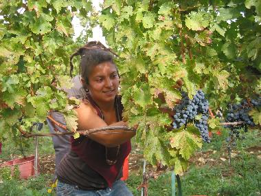 Holiday Apartment in San Pancrazio (Firenze) or holiday homes and vacation rentals