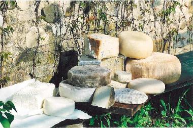 Holiday House in San Pancrazio (Firenze) or holiday homes and vacation rentals