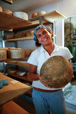 Holiday Apartment in San Pancrazio (Firenze) or holiday homes and vacation rentals