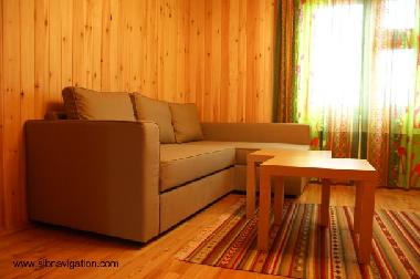 Chalet in Borovoye (Novosibirskaya Oblast�) or holiday homes and vacation rentals