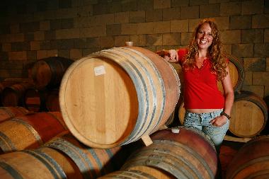 Holiday Apartment in San Pancrazio  (Firenze) or holiday homes and vacation rentals