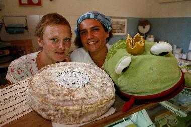 Holiday Apartment in San Pancrazio  (Firenze) or holiday homes and vacation rentals