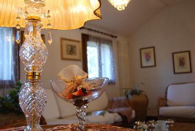 Holiday Apartment in arqu petrarca (Padova) or holiday homes and vacation rentals