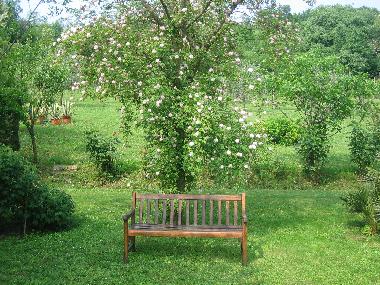 Holiday Apartment in arqu petrarca (Padova) or holiday homes and vacation rentals