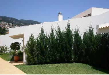 Bed and Breakfast in Funchal (Madeira) or holiday homes and vacation rentals