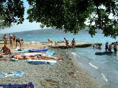 Holiday Apartment in Starigrad Paklenica (Zadarska) or holiday homes and vacation rentals