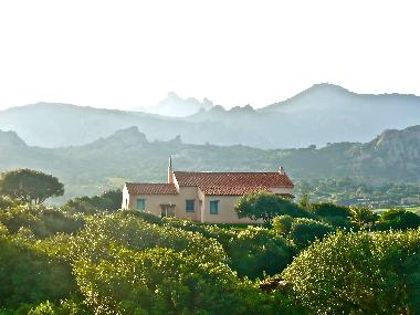 house and surroundings
