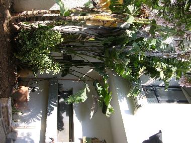 Holiday House in Caesarea (HaZafon (Northern)) or holiday homes and vacation rentals