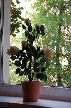 Holiday Apartment in Berlin (Prenzlauer Berg) or holiday homes and vacation rentals