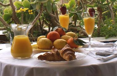 Holiday Apartment in Santa Eularia del Rio (Ibiza) or holiday homes and vacation rentals