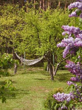 Holiday House in Pobłocie (Pomorskie) or holiday homes and vacation rentals