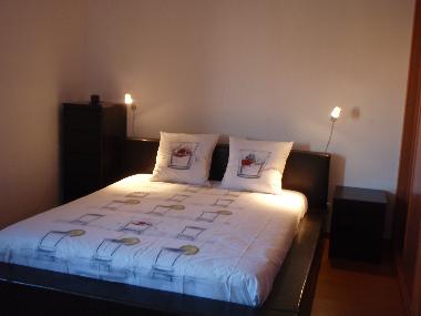 room with sofa bed and a huge closet