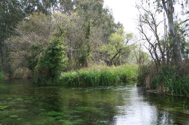 Holiday House in Akyaka - Gkova (Mugla) or holiday homes and vacation rentals