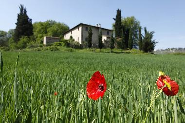 Holiday House in San Pancrazio (Firenze) or holiday homes and vacation rentals