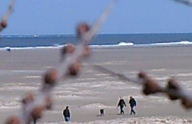 Holiday Apartment in Borkum (East Frisians (Islands)) or holiday homes and vacation rentals