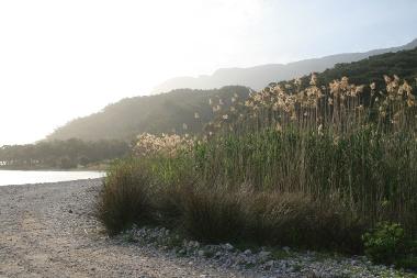 Holiday House in Akyaka - Gkova (Mugla) or holiday homes and vacation rentals