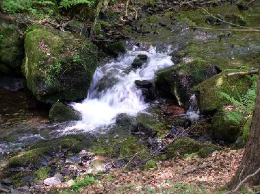 Holiday House in Vesser (Thuringian forest) or holiday homes and vacation rentals