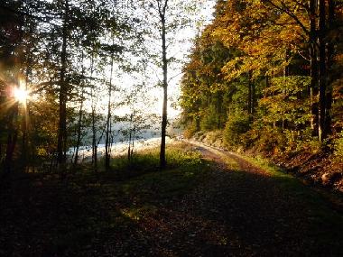 Holiday House in Vesser (Thuringian forest) or holiday homes and vacation rentals