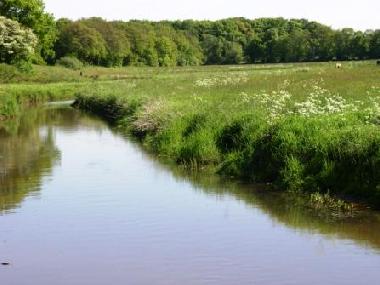 The Drentsche Aa