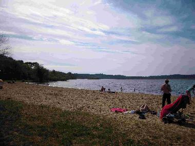 Holiday House in Saint Barth�lemy (Landes) or holiday homes and vacation rentals