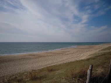 Holiday House in Saint Barth�lemy (Landes) or holiday homes and vacation rentals