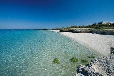 the beach nearby