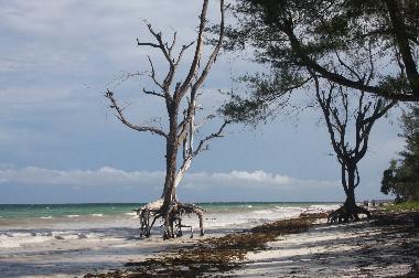 Holiday House in Diani Beach (Coast) or holiday homes and vacation rentals