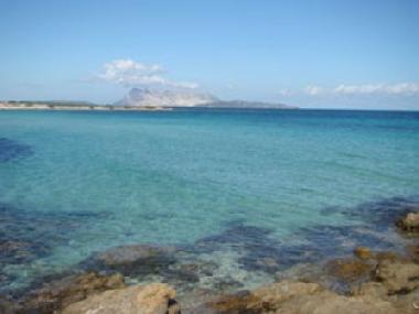 Holiday House in Tanaunella-budoni (Olbia-Tempio) or holiday homes and vacation rentals