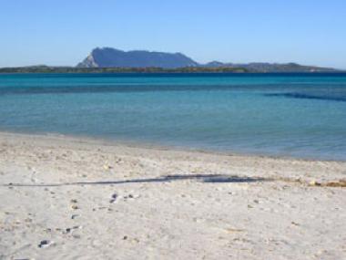 Holiday House in Tanaunella-budoni (Olbia-Tempio) or holiday homes and vacation rentals