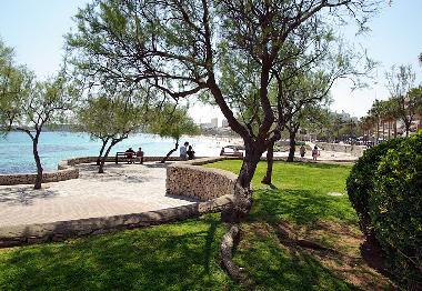 Holiday Apartment in Cala Millor (Mallorca) or holiday homes and vacation rentals