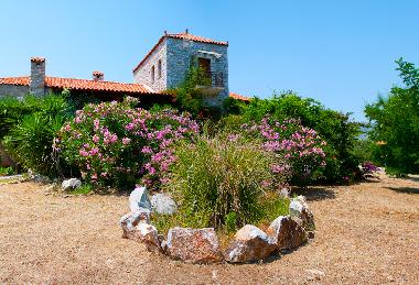 View from the SouthWest