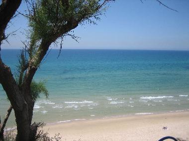 Holiday Apartment in Natania (HaMerkaz (Central)) or holiday homes and vacation rentals