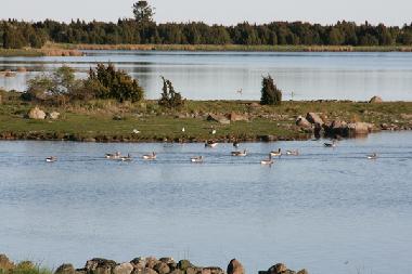 Holiday Apartment in Sderkra (Smaland) or holiday homes and vacation rentals