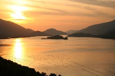 Holiday House in Ston (Dubrovacko-Neretvanska) or holiday homes and vacation rentals