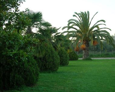 Holiday Apartment in Zacharo (Ileia) or holiday homes and vacation rentals