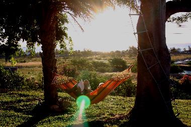 Holiday Apartment in Tamarin (Black River) or holiday homes and vacation rentals