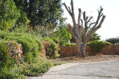 Holiday House in Moncarapacho (Algarve) or holiday homes and vacation rentals